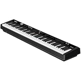 NU-X | NPK-20 Piano digital profesional: estación de trabajo de rendimiento avanzado con acción de martillo graduada de 88 teclas, conectividad Bluetooth y características de acompañamiento automático