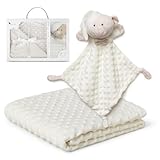 Interbaby - Manta Bebe Recien Nacido + Doudou Bebe | Manta Algodon Bebe y Poliéster, Terciopelo, Cómoda, Cálida, 80x110cm | Peluche Bebe Suave, Adorable, 28x17cm | Burbuja + Osito Beige