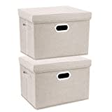 TYEERS Grandes Cajas de Almacenaje con Tapa, Tela, Lavable, Cajas Organizadoras, 44x30x29 cm, Juego de 2, Beige