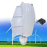 Aerogenerador de 12000W, 12V 24V 48V Turbina Eólica Vertical de Eje Helicoidal de Levitación Magnética, Generador de Imán Permanente Trifásico, para Casa, Terraza, Chalet o Autocaravana,E-24V