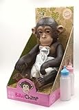 Baby Chimp Mono Bebe de chimpance