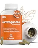 Ashwagandha Alta Potencia: Adaptógeno y Nootrópico con Sensoril® (10% Withanolidos) | Sueño Profundo, Bienestar General, Energía, Concentración | 4 Meses | 2x Más Concentrado que el KSM-66