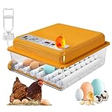 Chalixion Incubadora Huevos Gallina de 36 Huevos Para Incubar, Incubadoras de Huevos Automaticas con Adición Automática de Agua y 4 Modos Automáticos de Incubación, Indicador de Humedad y Temperatura