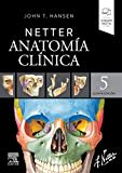 Netter. Anatomía clínica