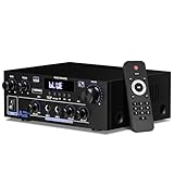 2 Canales Amplificador, 1000W Audio Estéreo, Bluetooth 5.3 Mini Hi-Fi Amp, para Dos 70W x2 Altavoces de Unas 10 Pulgadas, Bass/Treble/AUX/FM/Mic/USB, para TV, para el hogar o tu Coche