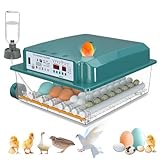 CoInceptus Incubadora Huevos Gallina, Incubadora de 24-36 Huevos con Volteo Automático de Huevos y Humidificación automática, Incubadora para Huevos de Gallina, Codorniz, Pato, con Lámpara de Huevo