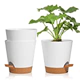 T4u 16,5cm Macetas Plástico,Maceteros Decorativos Interior con Agujeros de Drenaje,Riego Automático Macetas para Plantas Flores,Decoración del Hogar Balcón Jardín,Juego de 3,Blanco