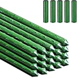 Estacas para plantas de jardín, 20 varillas de cultivo de plantas con conector, bastones de jardín, estacas de soporte de vid para flores, verduras y guisantes