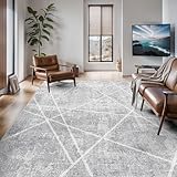 Vamcheer Alfombra Salón Gris Antideslizante - Alfombra de área Abstractas Modernas Geométrico Imitación Cachemira,Grande y Lavable, Decoracion para Comedor,Pasillo,Interiores (200x300)